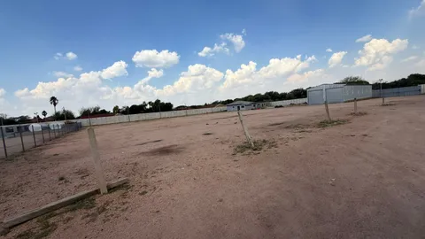 WhatsApp Image 2026-02-16 at 10.53.22.